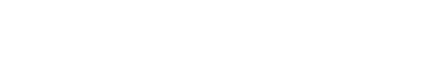 L300
